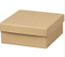 Kraft Paper Box/Shipping Box
