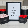 Custom Cardboard Paper Cylinder Rose Flower Bouquet Gift Box Square Packaging Luxury Round Flowers Boxes for Roses